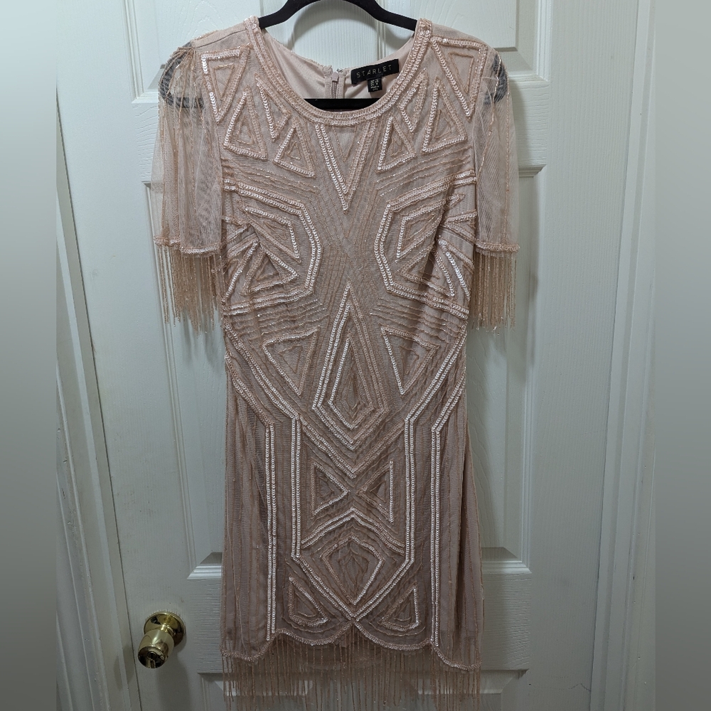 NEW!! Starlet Cap Sleeve Fringe Sequin Mini Dress in Blush - NWOT